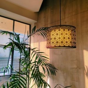 Suspended Light - INL-SL-107