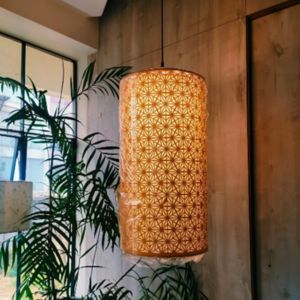 Suspended Light - INL-SL-110